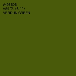 #495B0B - Verdun Green Color Image