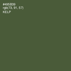 #495B39 - Kelp Color Image
