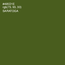 #495D1E - Saratoga Color Image