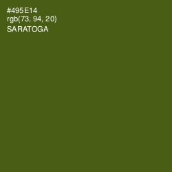 #495E14 - Saratoga Color Image