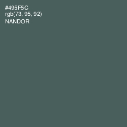 #495F5C - Nandor Color Image