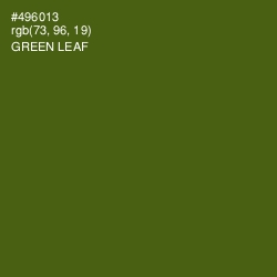 #496013 - Green Leaf Color Image