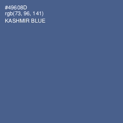 #49608D - Kashmir Blue Color Image