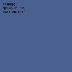 #496090 - Kashmir Blue Color Image