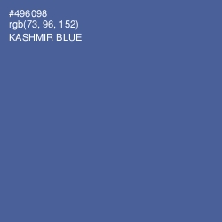 #496098 - Kashmir Blue Color Image