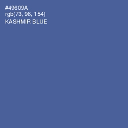 #49609A - Kashmir Blue Color Image