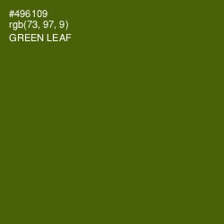 #496109 - Green Leaf Color Image
