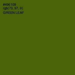 #496109 - Green Leaf Color Image