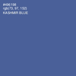 #496198 - Kashmir Blue Color Image