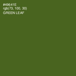 #49641E - Green Leaf Color Image