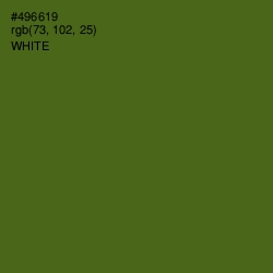 #496619 - Green Leaf Color Image
