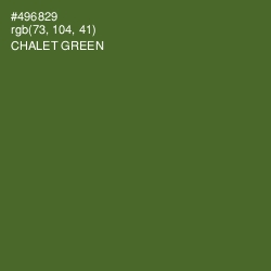 #496829 - Chalet Green Color Image