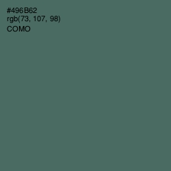 #496B62 - Como Color Image