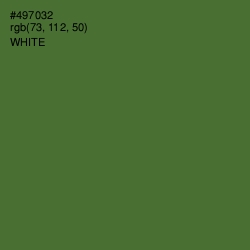 #497032 - Chalet Green Color Image