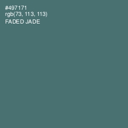 #497171 - Faded Jade Color Image