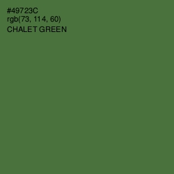 #49723C - Chalet Green Color Image