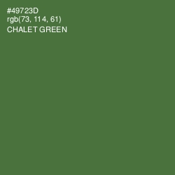 #49723D - Chalet Green Color Image