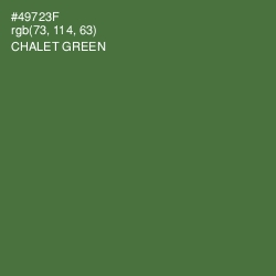 #49723F - Chalet Green Color Image