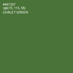 #497337 - Chalet Green Color Image