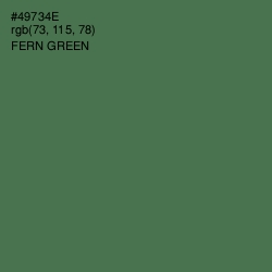 #49734E - Fern Green Color Image
