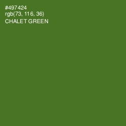 #497424 - Chalet Green Color Image