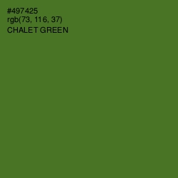 #497425 - Chalet Green Color Image