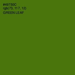 #49750C - Green Leaf Color Image