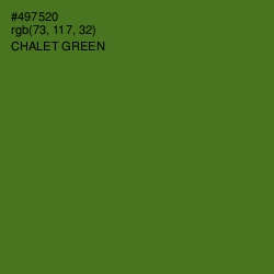 #497520 - Chalet Green Color Image