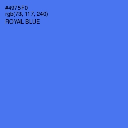 #4975F0 - Royal Blue Color Image