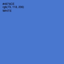 #4976CE - Indigo Color Image