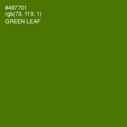 #497701 - Green Leaf Color Image