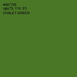 #497725 - Chalet Green Color Image