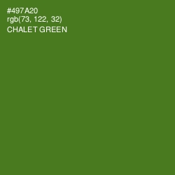 #497A20 - Chalet Green Color Image