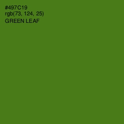 #497C19 - Green Leaf Color Image