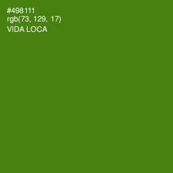 #498111 - Vida Loca Color Image