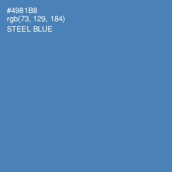 #4981B8 - Steel Blue Color Image