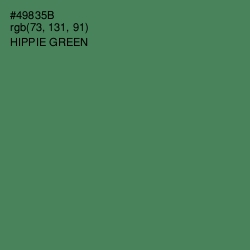 #49835B - Hippie Green Color Image