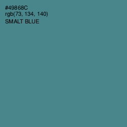 #49868C - Smalt Blue Color Image