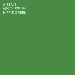 #498A45 - Hippie Green Color Image