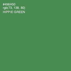 #498A50 - Hippie Green Color Image