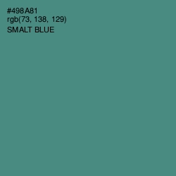 #498A81 - Smalt Blue Color Image