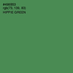 #498B53 - Hippie Green Color Image