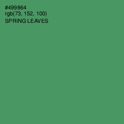 #499864 - Spring Leaves Color Image