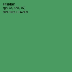 #499B61 - Spring Leaves Color Image