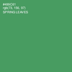 #499C61 - Spring Leaves Color Image