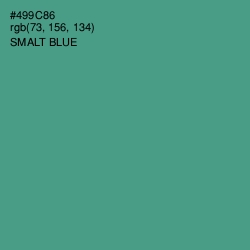 #499C86 - Smalt Blue Color Image