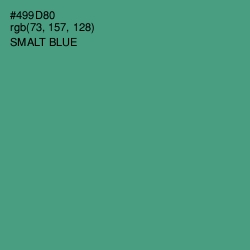 #499D80 - Smalt Blue Color Image