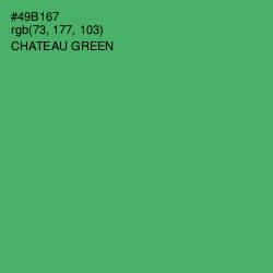 #49B167 - Chateau Green Color Image