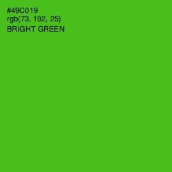 #49C019 - Bright Green Color Image