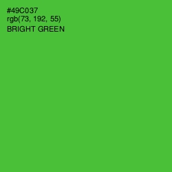 #49C037 - Bright Green Color Image